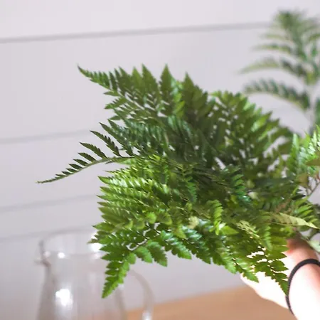 Lar Atlantica 게스트하우스