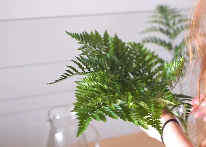 Lar Atlantica Konukevi